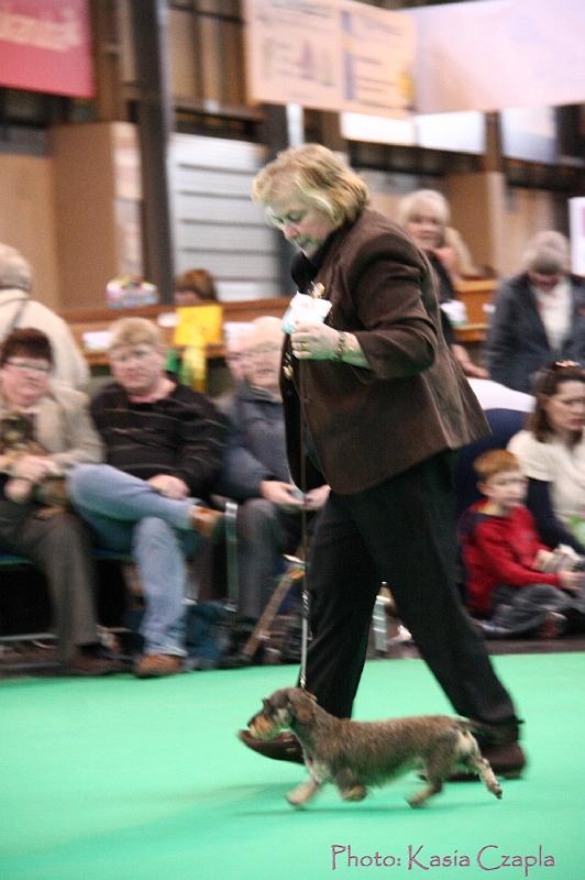 Crufts2011_2 1383.jpg